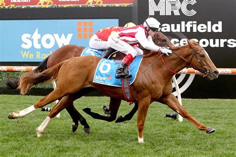 danehill stakes bet on